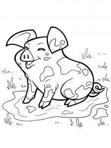 Baby Pig in the mud coloring page