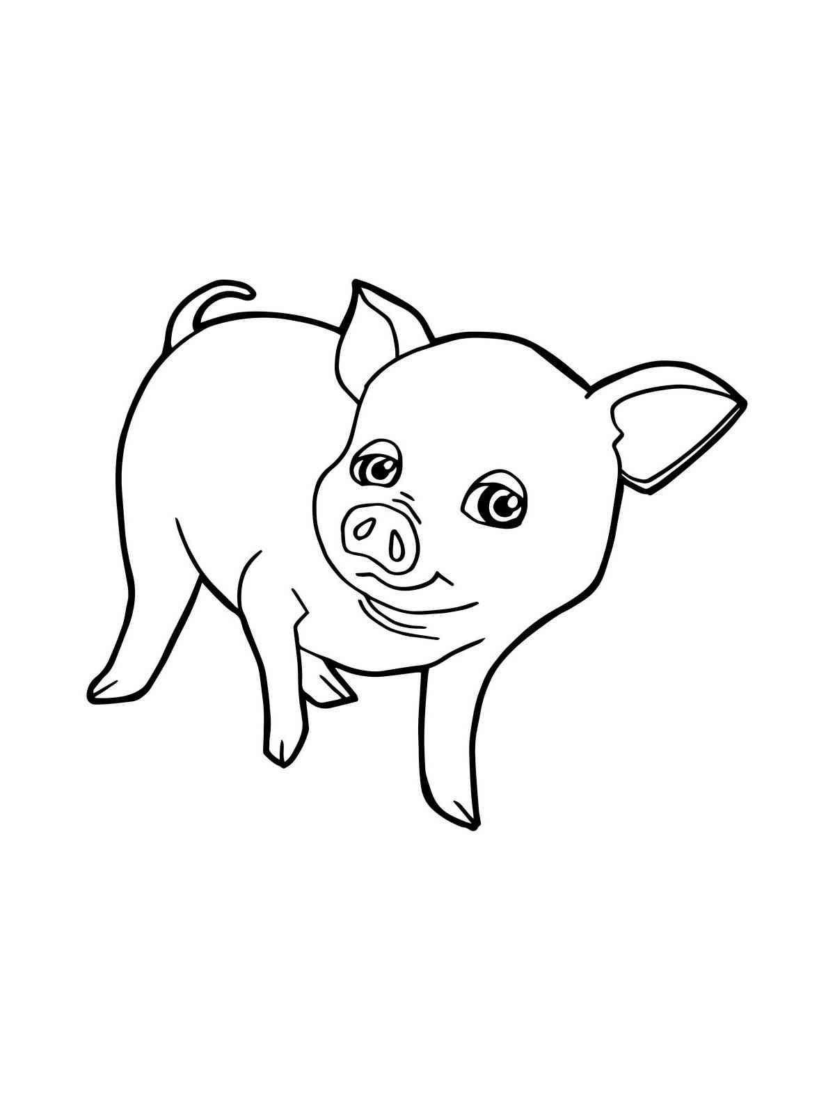 Baby Pig coloring page