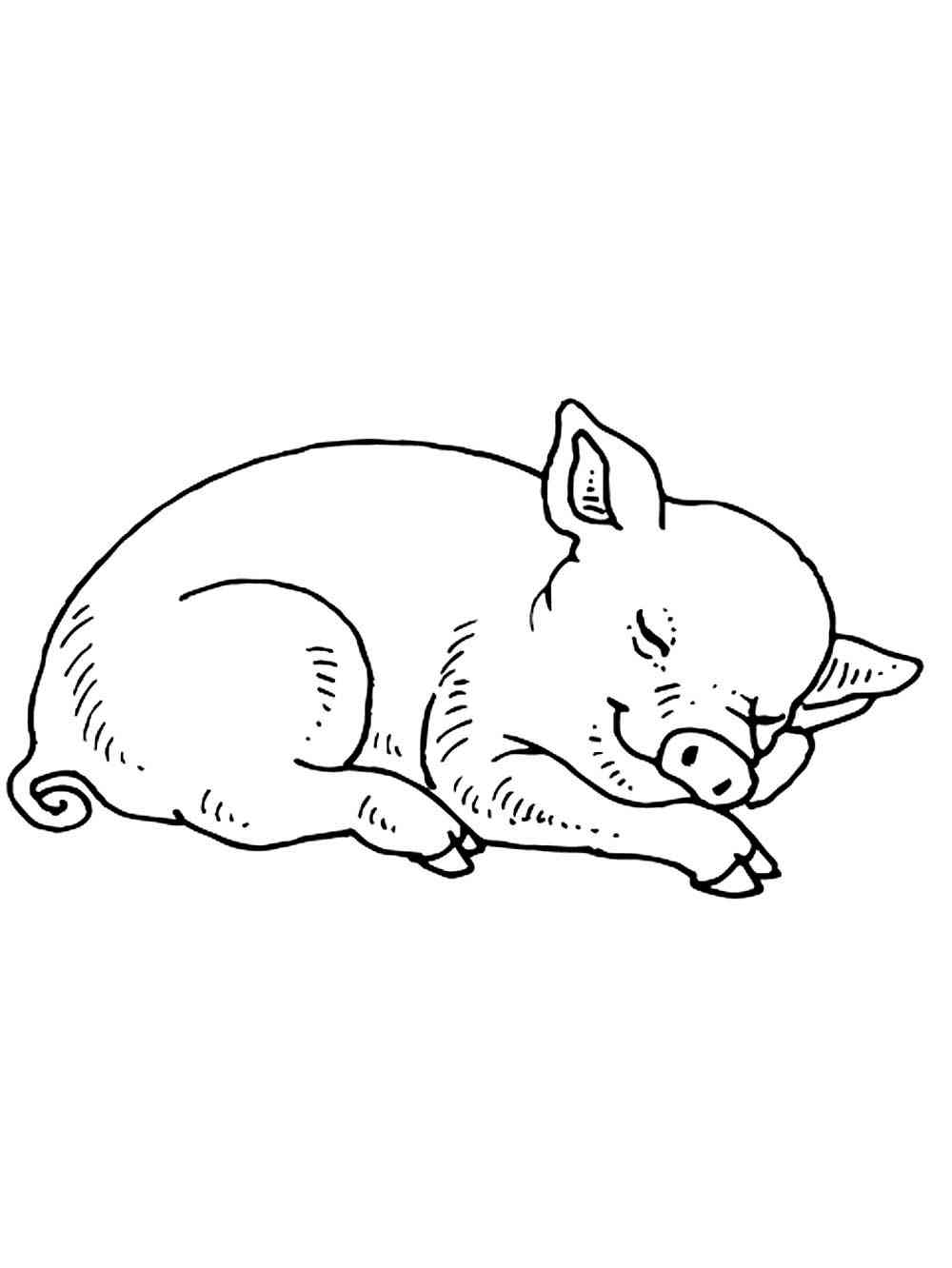 Sleeping Baby Pig coloring page