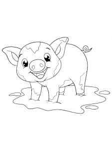 Baby Pig in a puddle coloring page