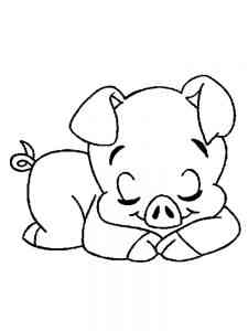 Baby Pig sleeps coloring page