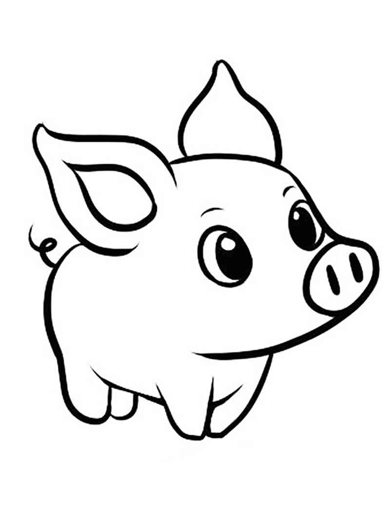 Funny Baby Pig coloring page