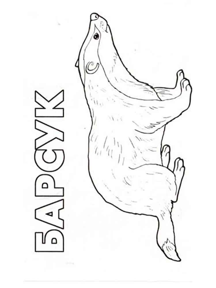 Easy Realistic Badger coloring page