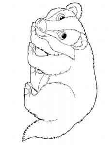 Easy Badger coloring page