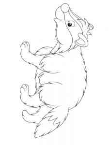 Happy Badger coloring page