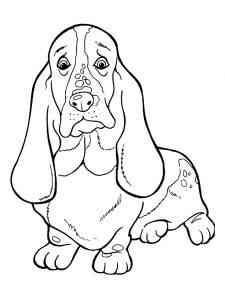 Funny Basset Hound coloring page