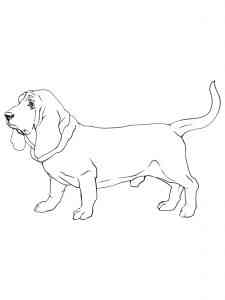 Basset Hound coloring page