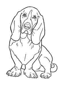 Basset Hound Dog coloring page