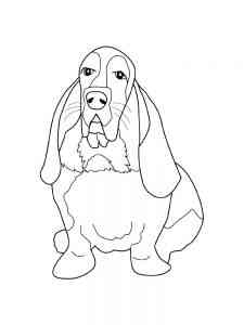 Dog Basset Hound coloring page