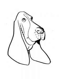 Basset Hound Head coloring page