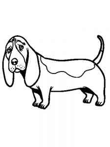Basset Hound coloring page