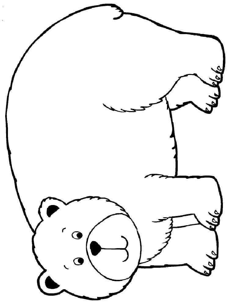 Easy Brown Bear coloring page