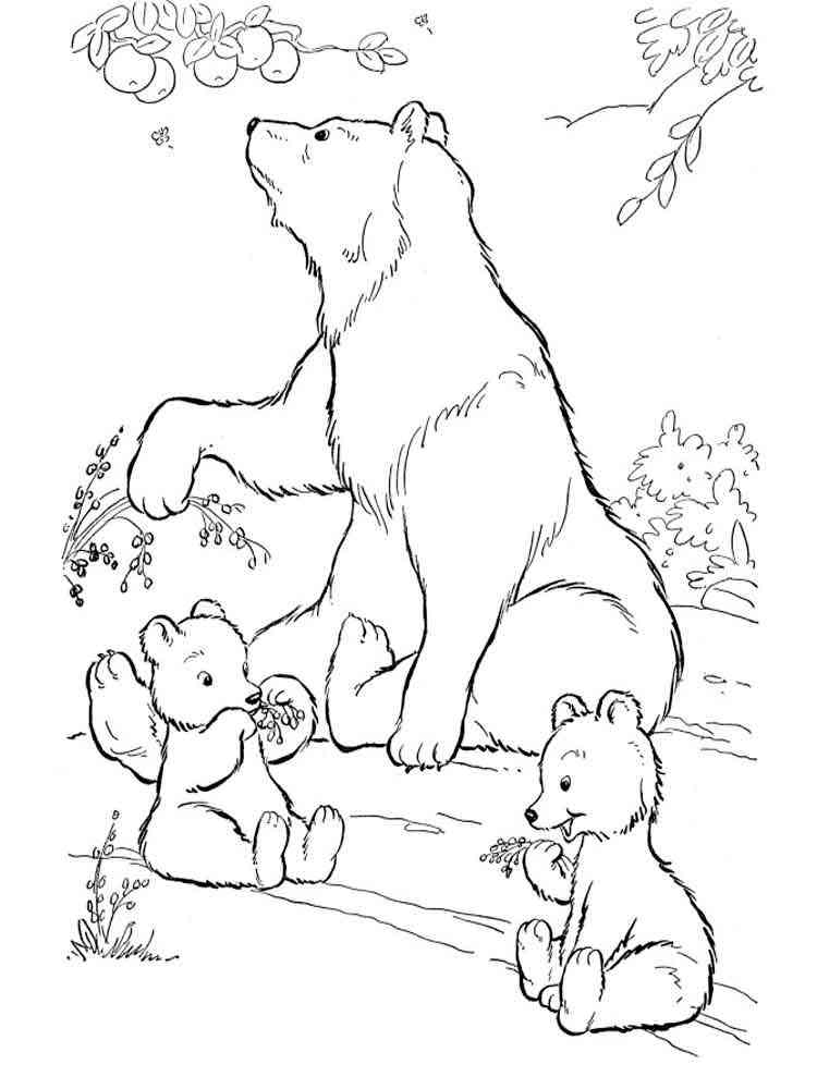 Bear with cubs coloring page