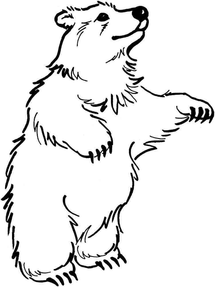 Happy Bear coloring page