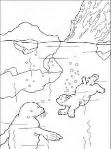 Polar Bear coloring page