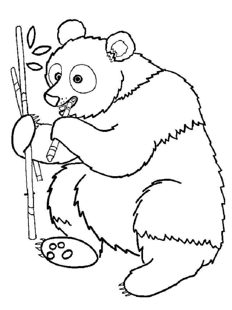 Giant panda coloring page