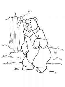 Cartoon Bear coloring page