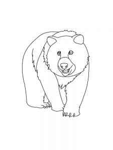 Huge Bear coloring page