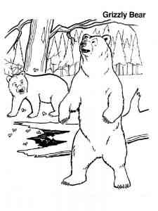 Grizzly Bear coloring page