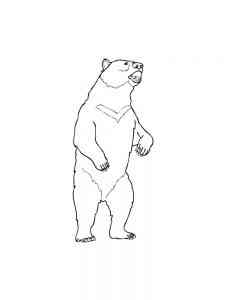 Asian Black Bear coloring page