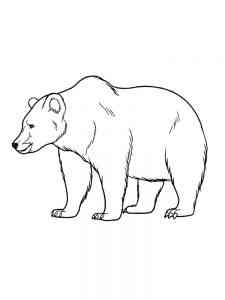 Brown Bear coloring page
