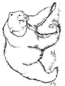 American Black Bear coloring page
