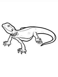 Australian Bearded Dragon coloring page