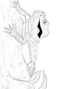 Eastern Bearded Dragon coloring page