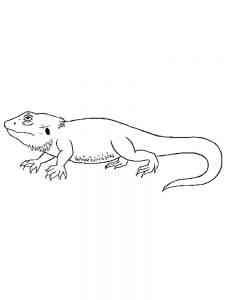 Lizard Bearded Dragon coloring page