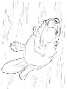 Swimming Beaver coloring page