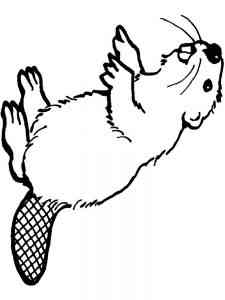 American Beaver coloring page