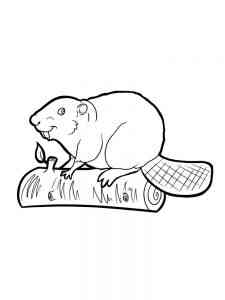 Beaver on a log coloring page