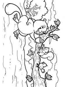 Beaver and squirrel coloring page