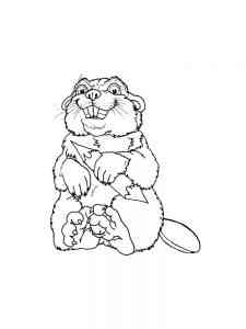 Funny Cartoon Beaver coloring page