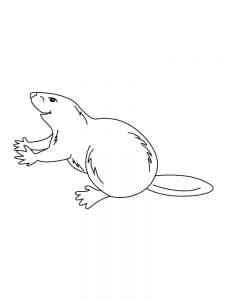 Funny Beaver coloring page