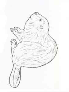 Simple Beaver 2 coloring page
