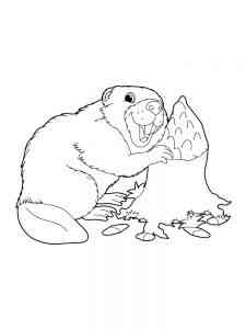 Beaver gnawing on a stump coloring page