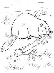 Beaver on a River Bank coloring page