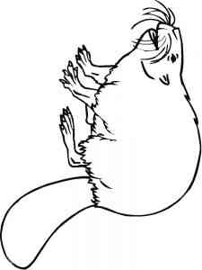 Easy Beaver coloring page