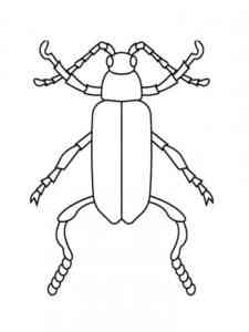 Water strider coloring page
