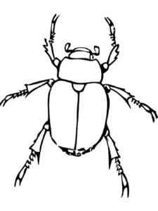 Smple Beetle coloring page