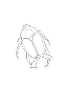 Japanese Beetle coloring page