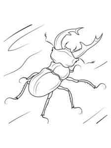 Common Stag Beetle coloring page