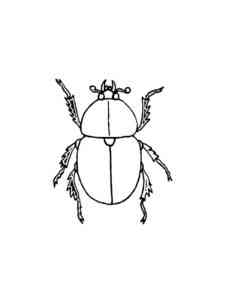 Scarabaeus Dung Beetle coloring page