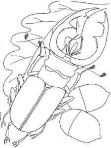 Stag Beetle Crawls the Leaf coloring page