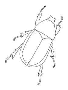 Mealworm Beetle coloring page
