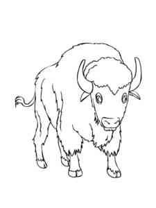 Easy Funny Bison coloring page
