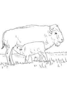 Mother and Baby Bison coloring page