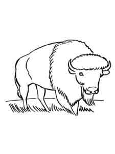 Normal Bison coloring page