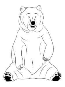 Black Bear Sitting coloring page